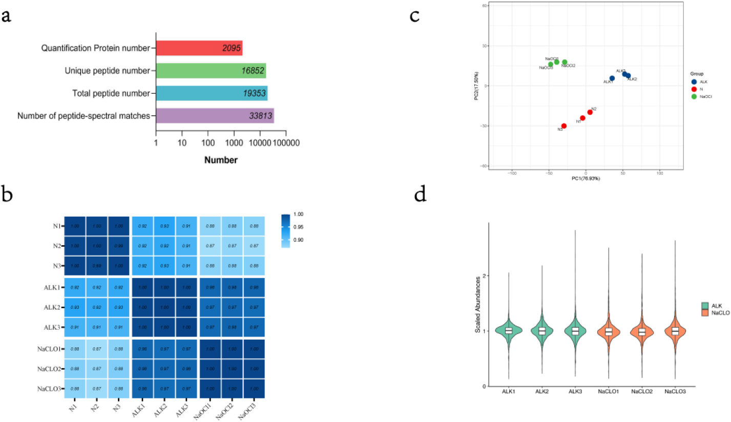 (a) Summary of mass information. (b) A heatmap of Pearson correlation coefficient. (c) A scatter graph of PC1 and PC2 through principal component analysis. (d) A violin plot of abundances with median normalization. This plot shows the kernel density estimation for distribution of scale abundance of protein and can be superimposed on a box plot. Using the same filling colors indicate technical replicated sample.