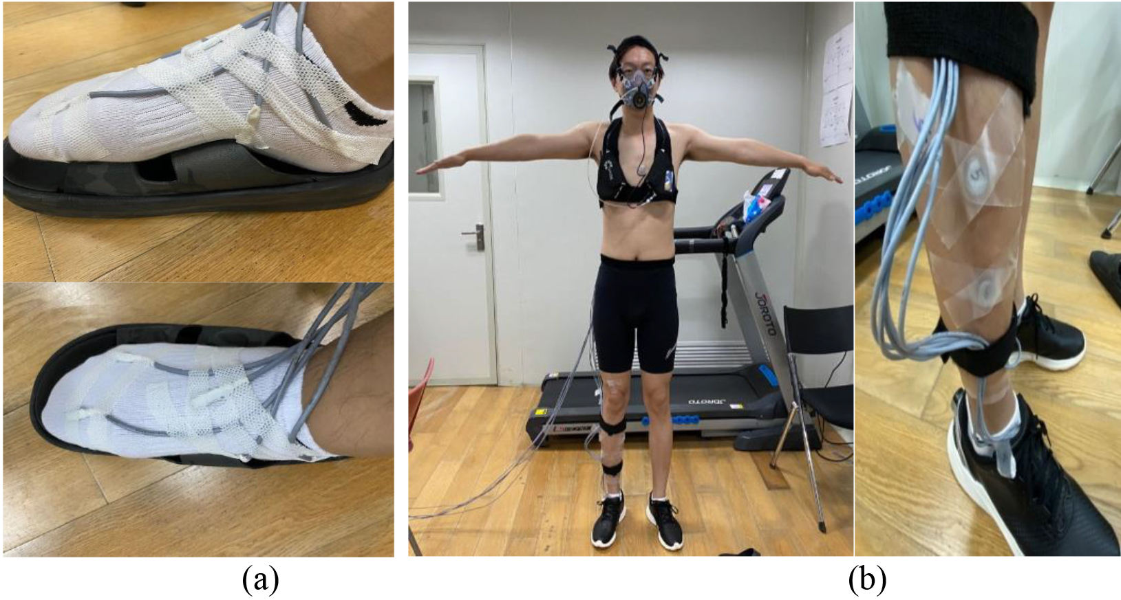 (a) In-shoe temperature and relative humidity sensors on the participants’ right feet; (b) body temperature sensors, heart rate and energy and metabolism measurements.