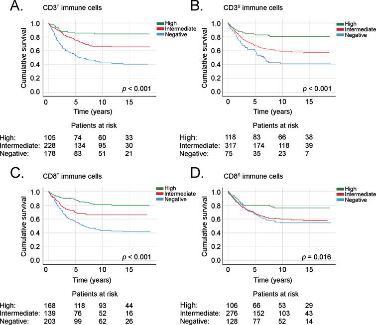 Disease-specific survival of CRC patients according to the immunopositivity of (A) CD3T immune cells, (B) CD3S immune cells, (C) CD8T immune cells, and (D) CD8S immune cells. Survival curves were drawn using the Kaplan–Meier method, with p values based on the log-rank test. Patients who perished within 30 days after surgery were excluded from the analysis.