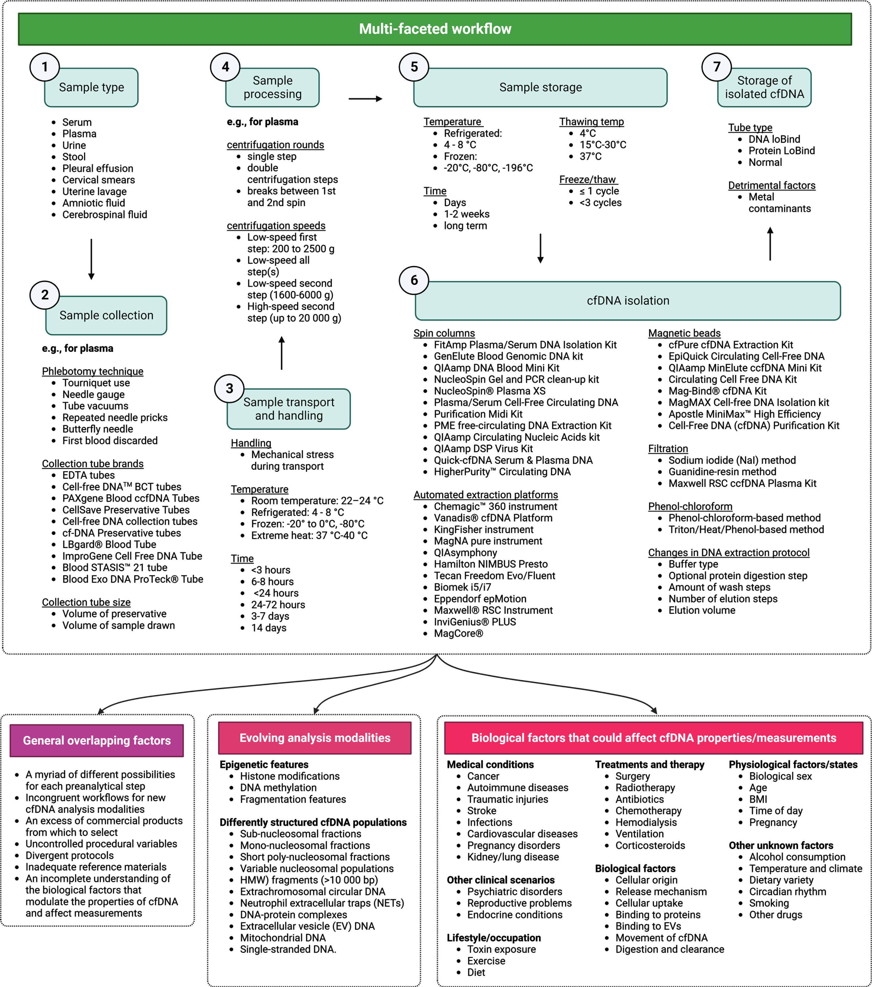Comprehensive map of cell-free DNA (cfDNA) preanalytics. This figure presents a condensed overview of essential preanalytical factors influencing the quantitative and qualitative aspects of cfDNA measurements. It emphasizes critical elements to be considered during the preanalytical phase for precise and reliable cfDNA evaluation. While a detailed investigation of each factor exceeds the paper’s scope, the text discusses pertinent factors influencing cfDNA preanalytics.