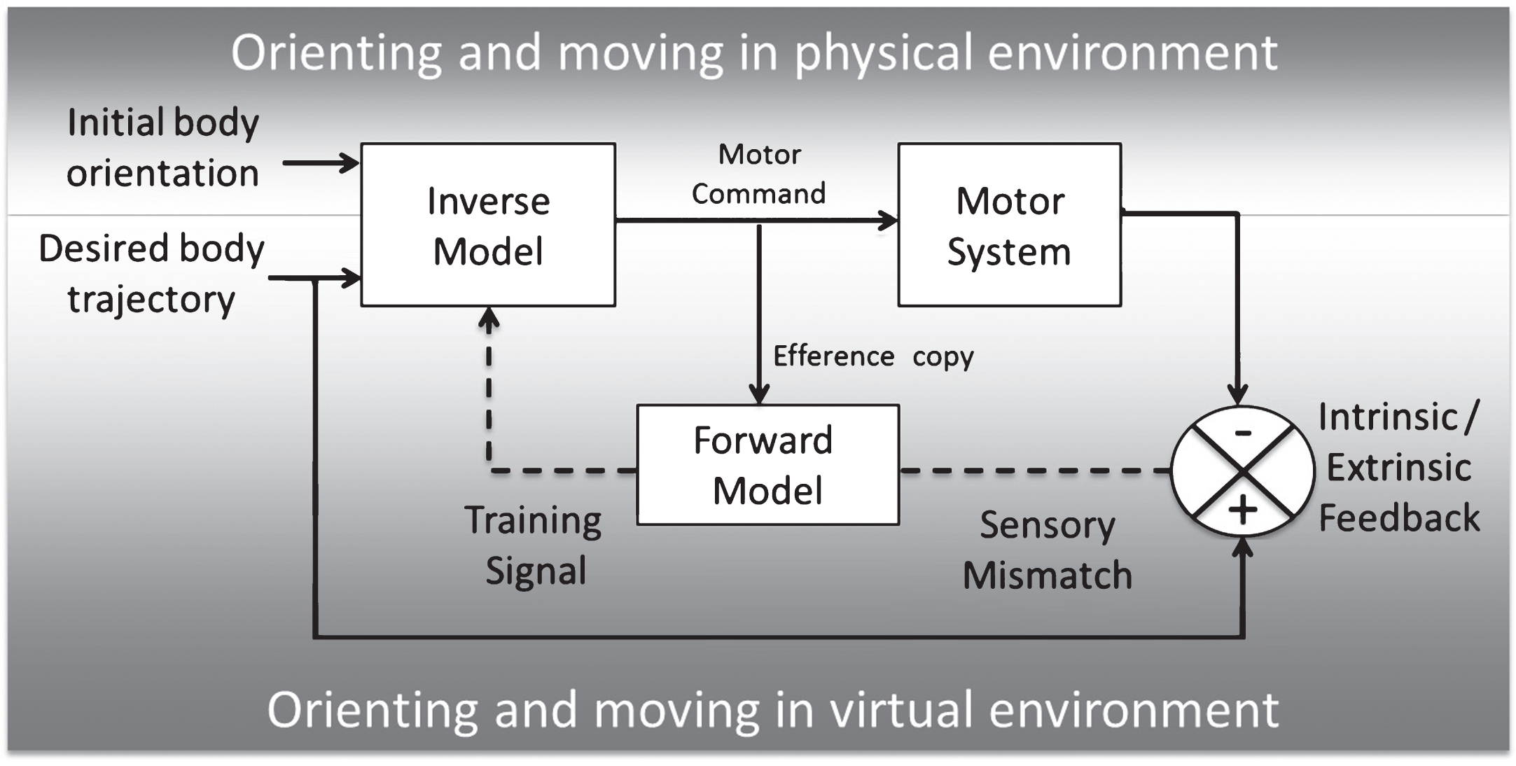 Model of forward and inverse learning in physical and virtual environments, adapted from Miall and Wolpert [25].