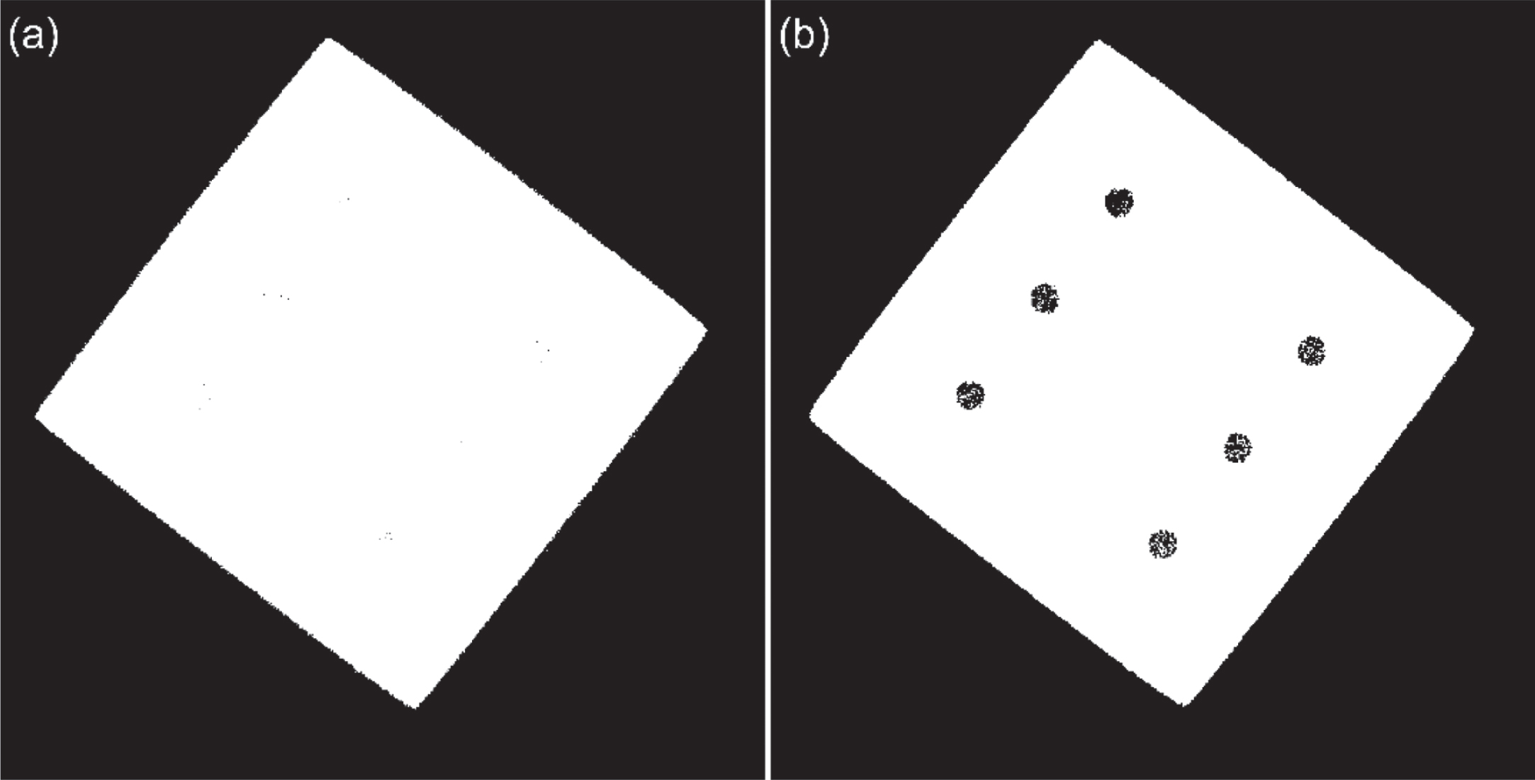 (a) Otsu, and (b) MRF output for CT image in Fig. 7(a).