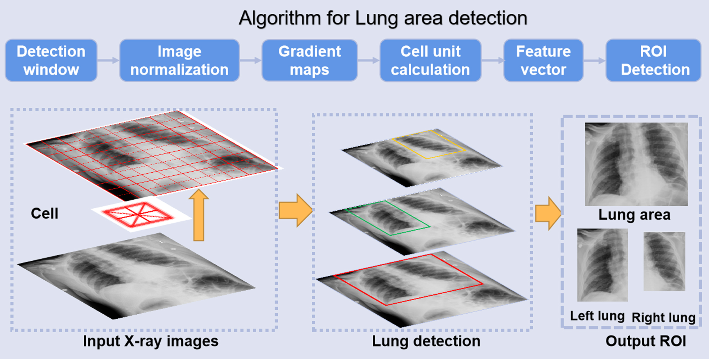 Automatic detection process of lung area.